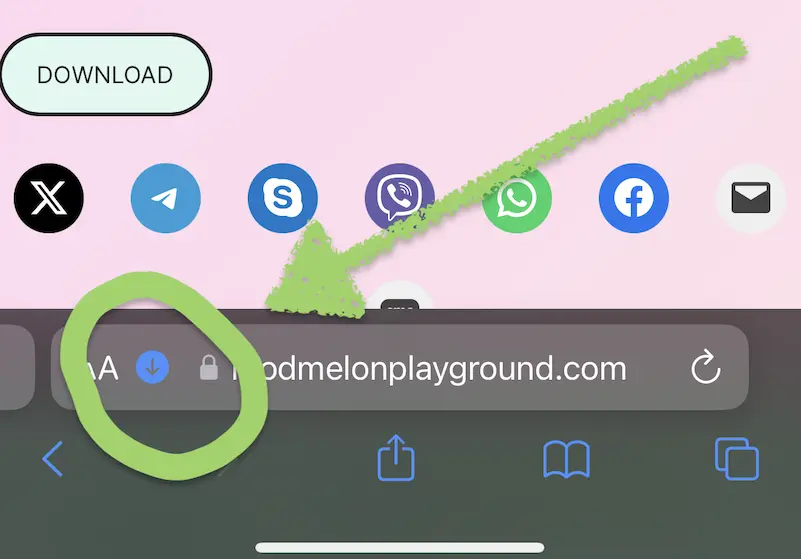 How to put mod in Melon Playground on iOS - Step 3