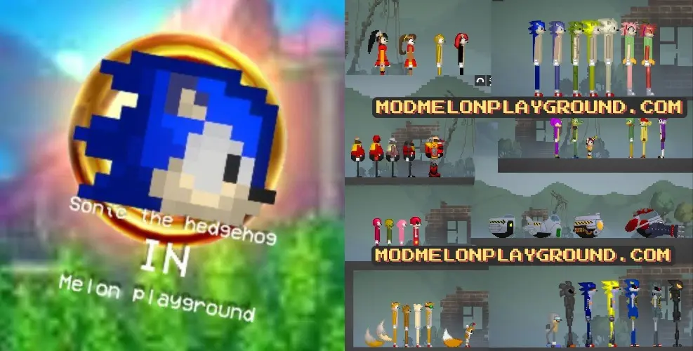 sonic For Melon Playground Mods